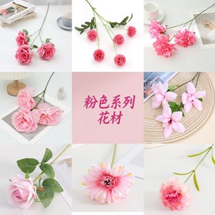 ��c��ɫ���滨�Y���û�õ������m�ٺϝM���ǽ��� ��ɫ�ѻ����l
