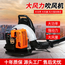 ��ؓʽ��ѩ�C����ʽ�L�����C����ʽ���������L�����C��ѩ���~