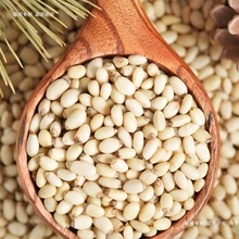 野生松子仁新货熟即食原味生松仁粒新鲜去壳松籽东北偃松马尾