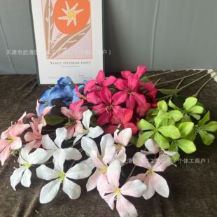 ���滨�����m�������G��Y�Ƶ����l���滨�߼��б���������üٻ�