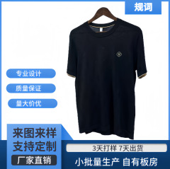 规词2025新款夏季男士刺绣简约T恤圆领百搭轻奢修身上衣针织衫