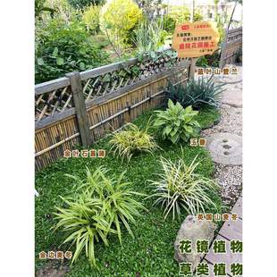 ���~ʯ���ѽ�z̦��Ӣ��ɽ������߅��â����������������Rֲ��