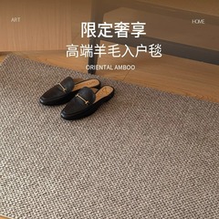 羊毛純色高端大宅入戶門地墊輕奢高級地毯大門口玄關腳墊耐髒