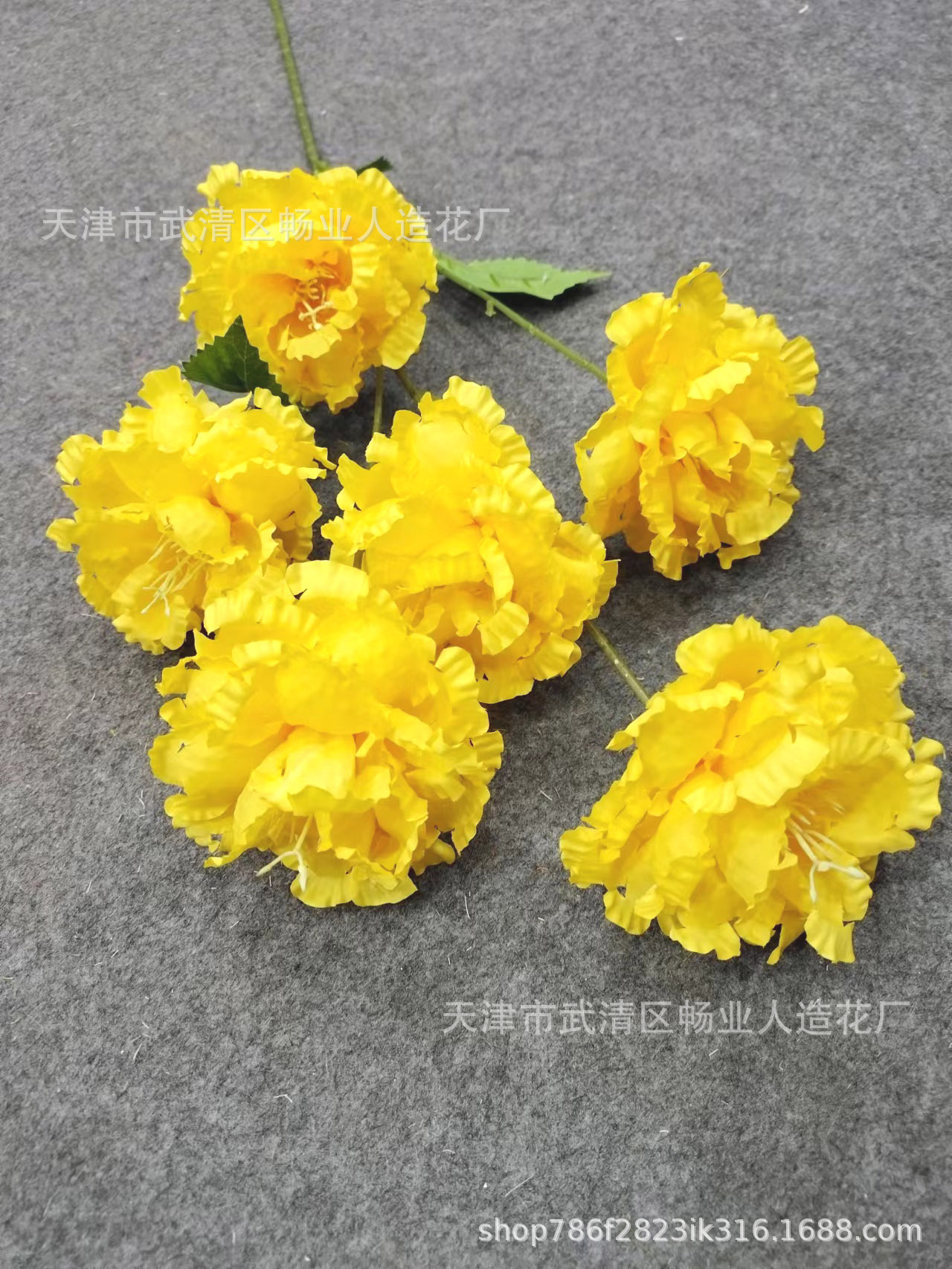 421efcced029b8d27426a651fc7daa