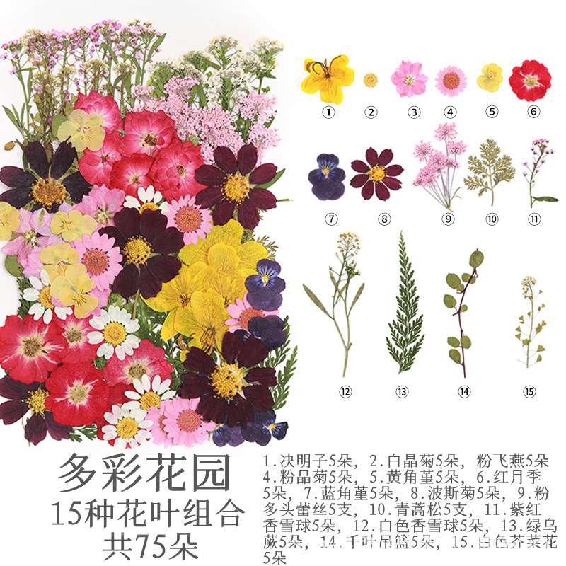 화려한 정원(75송이)