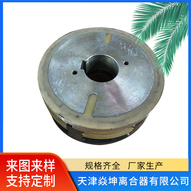干式多片电磁离合器（EKE系列）--DLM10-250AG--天津厂家供应