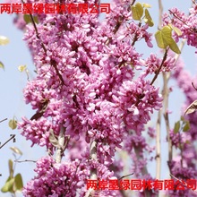 �����N�ۅ������G���� ���GС��M�l�t �G����ľͥԺ�e���^�p����