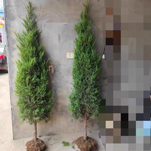 ���ؘ����ɘ���Ȱؘ������ؘ����ļ��������ɾG����ľ�ɰؘ�����