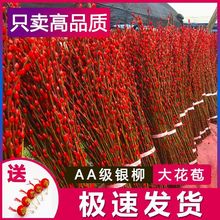 �и��{ؔ�y���滨�r֦���������y���ɻ��ļ�ˮ��ֲ���҃ȿ͏d�b�