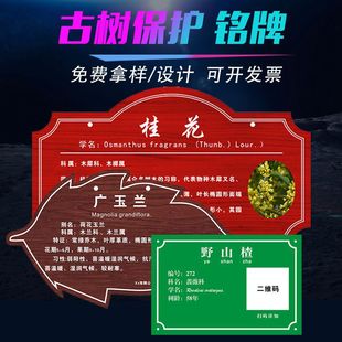 ���a���Ƙ��R�Ɛ��o��ľ��ľ���^����ֲ����ƶ��S�a�Ř��B���