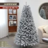 3 meters of ordinary snow tree