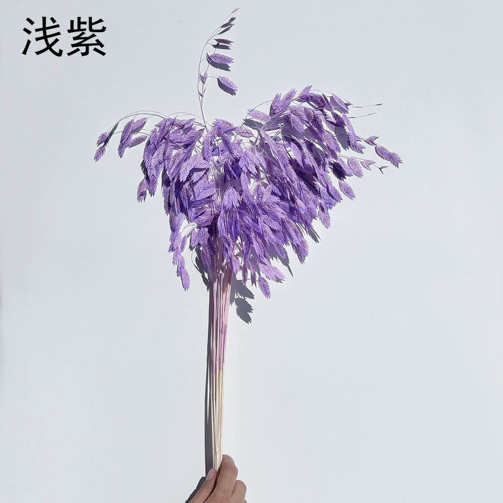 Сохранённые вечные цветочные стебли Xiao Pianwang Cao, цветочная сушёная букетная композиция, 10 шт, 30–60 см