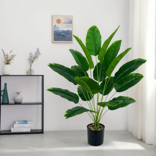 ���ͱ��W����ֲ������㽶�~�W�t�Gֲ�������l�҃ȿ͏d�b��쾰