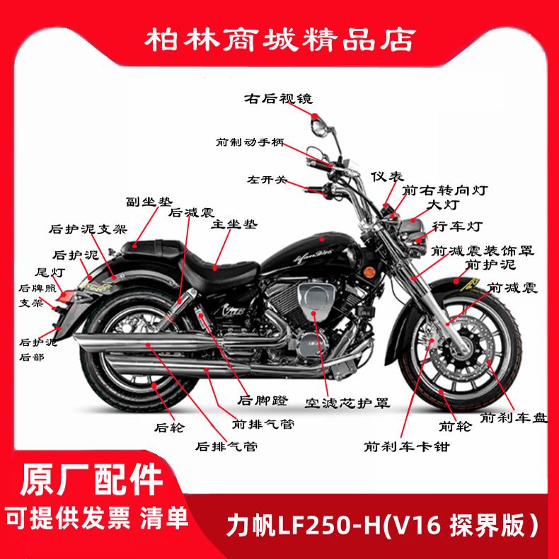 V16太子摩托车配件大全LF250-H大灯后视镜转向灯前护泥 脚蹬