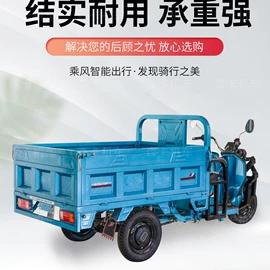 电动三轮车;其他电动车