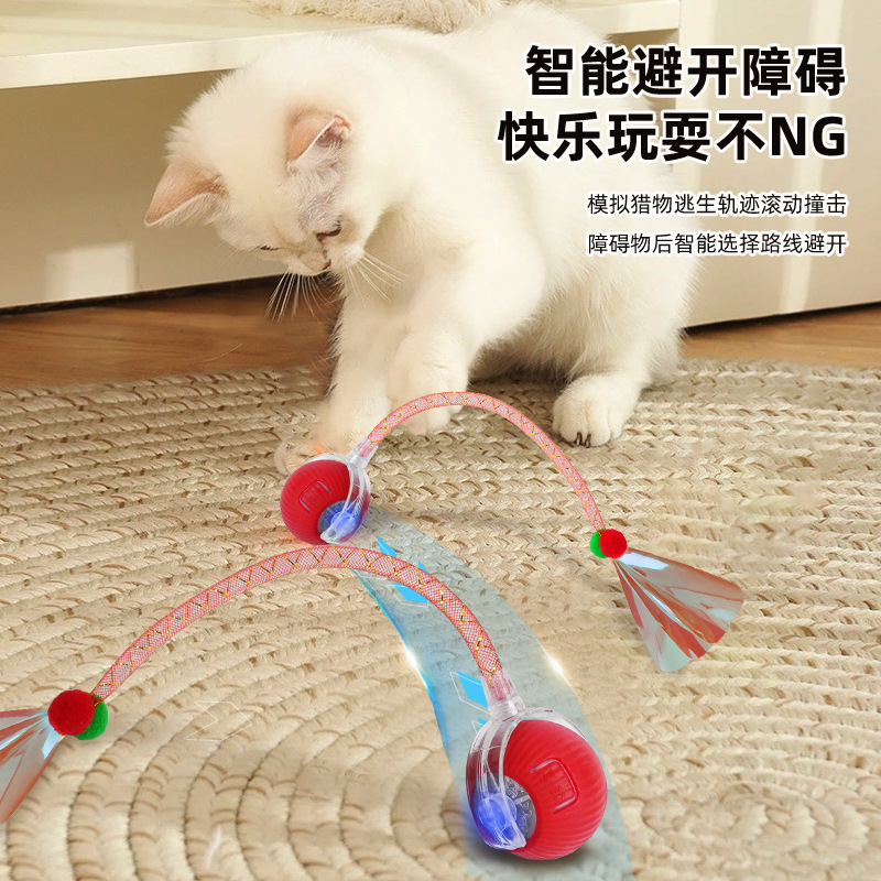 国境を越えたスマートペット猫おもちゃボールローリングボール自己楽しみ退屈解消ツールトンボテール面白い猫ボール猫おもちゃ|undefined