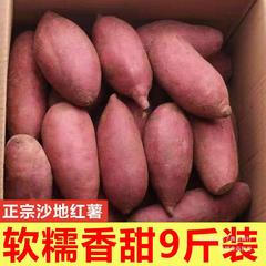 新鲜红薯整箱斤地瓜蔬菜现挖农家自种番薯红蜜薯9红薯板栗薯