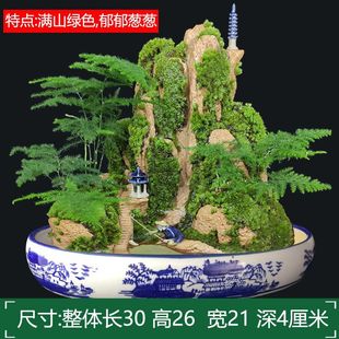 ��ˮ���ɽ�辰��Ȼֲ����ˮʯ�^�҃���ˮ�쾰��ʯС�Gֲ���Ԕ[��