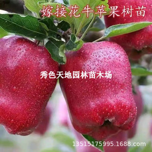 �޽������߹����C��ˮ��ţ�O���������Ե����ϱ����Nֲ����Y����