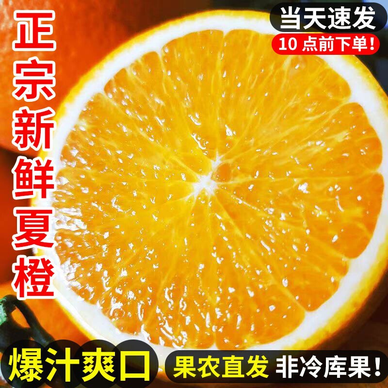 Hubei Ziguilun Late-Season Navel Oranges, Spring Oranges, Sweet Oranges, Seasonal Fruits, Fresh, Free Shipping, Jinan Navel Oranges, Squeezed Oranges Hubei Ziguilun Late-Season Navel Oranges, Spring Oranges, Sweet Oranges, Seasonal Fruits, Fresh, Free Shipping, Jinan Navel Oranges, Squeezed Oranges