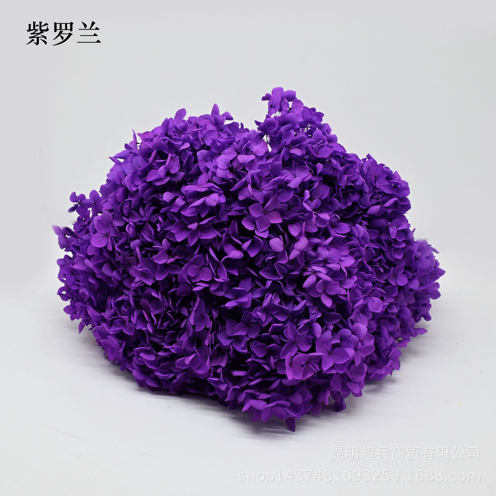 [Вечная Life Flower Hydrangea] Анна Градиентный цвет Лист Hydramid Книга цветов оптом DIY цветочная коробка материал для просмотра