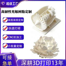 塑料工艺品;动植物仿真;模型、手板