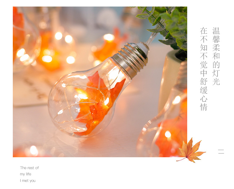 枫叶_05.jpg