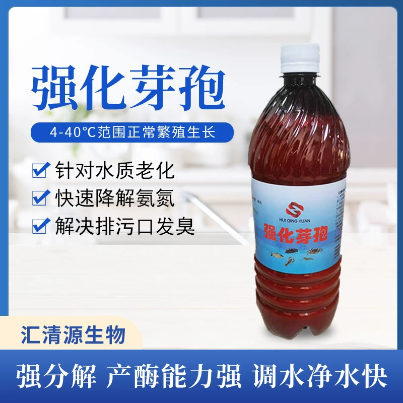 Усиление Bacillus subtilis Жидкая аквакультура Деградация аммиачного азота в водные споры для очистки масляной пленки