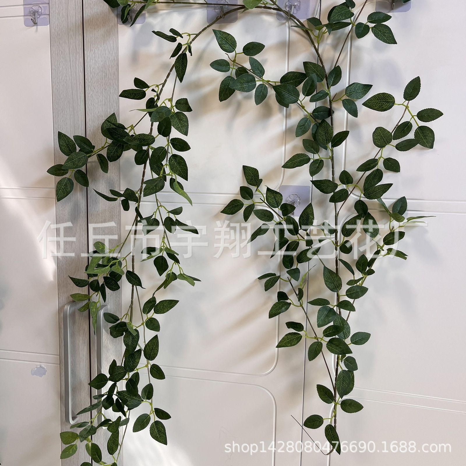 순수한 장미 잎 등나무