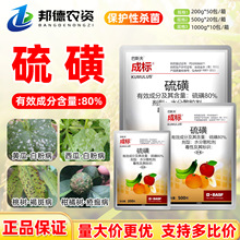 ��˹��ɘ�80%��Ǹ��ٯ��財�����S�ϰ׷۲��Ҙ�ְ��rș������