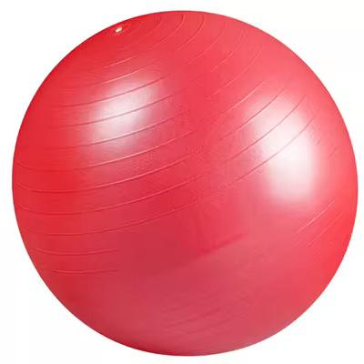 Pelota de yoga, a prueba de explosiones, entrenamiento de fuerza de Pilates, ayuda para el parto de mujeres embarazadas, pelota de dragón grande, pelota de fitness especial para integración sensorial de niños, alta elasticidad, a prueba de explosiones