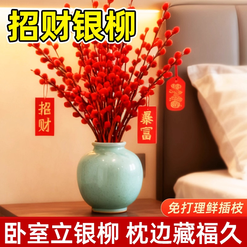 Spring Festival New Year Flower Potted Plant Hug Bucket New Year Real Flowers Fresh Branches Living Room Decoration Red Dried Flowers Hydroponic Plant Silver Willow