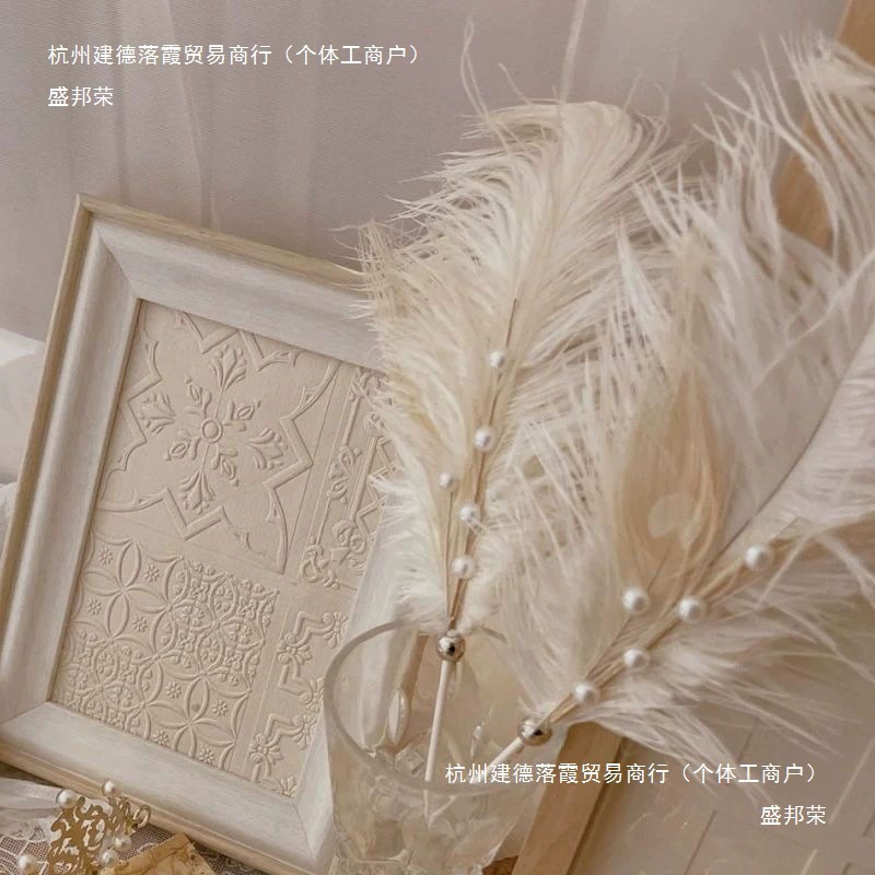 Бесплатная доставка для маникюра, страусиных перьев, реквизита для макета фотозоны, жемчужных ручных украшений, ландшафтного дизайна, интернет-знаменитостей и других.