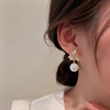 Small design zirconium, brand earrings, Korean style, light luxury style
