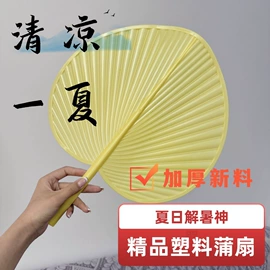 充水热水袋;扇子;苍蝇拍