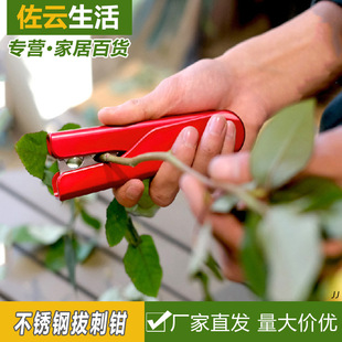 ���R�dõ�廨����Qȥ��������õ������ȥ�̊A��ȥ�̌�ȥ�̹���