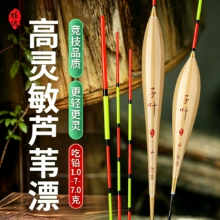 芦苇全系列浮漂鲫鱼鲤鱼鱼鳔野钓黑坑混养大物综合鱼漂夜光漂细尾