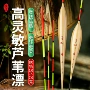 野钓综合鱼鳔芦苇夜光漂