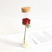 玫瑰干花花束玻璃罩真花试管摆件花三八妇女节礼物送女友闺蜜