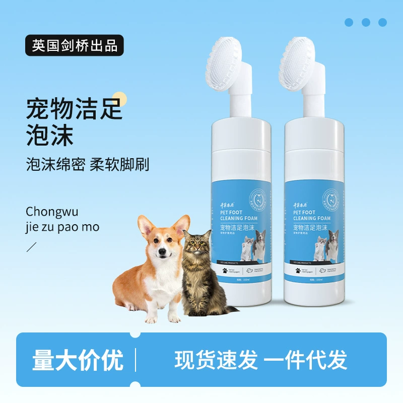 Домашние животные Очищение ног пены Кошки собаки моют ноги артефакт