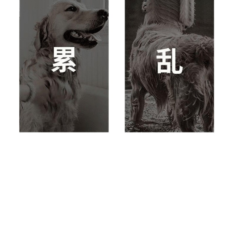 宠物吹风拉毛狗狗速干一体蓬松吹风机梳毛器猫咪洗澡吹干|undefined