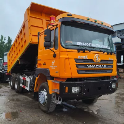 Yük maşınları Shaanxi Automobile Delong F3000 6X4