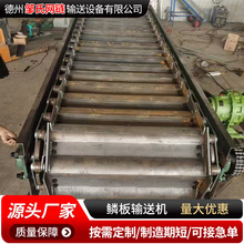 重型鳞板输送机煤炭碎石鳞板传送机流水线高承重喂料机板式输送带
