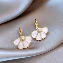 ������hŮ�p�ݸ߼��ж���2025�¿����|���С���������ض��