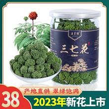 2025年头茬新花四年三七花正品云南文山特产特级田七三七花茶500g