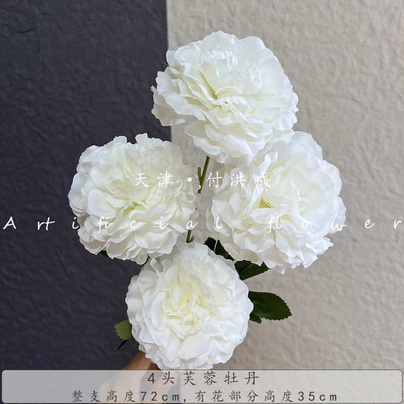 하얀색