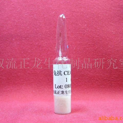 兔抗CEA抗体