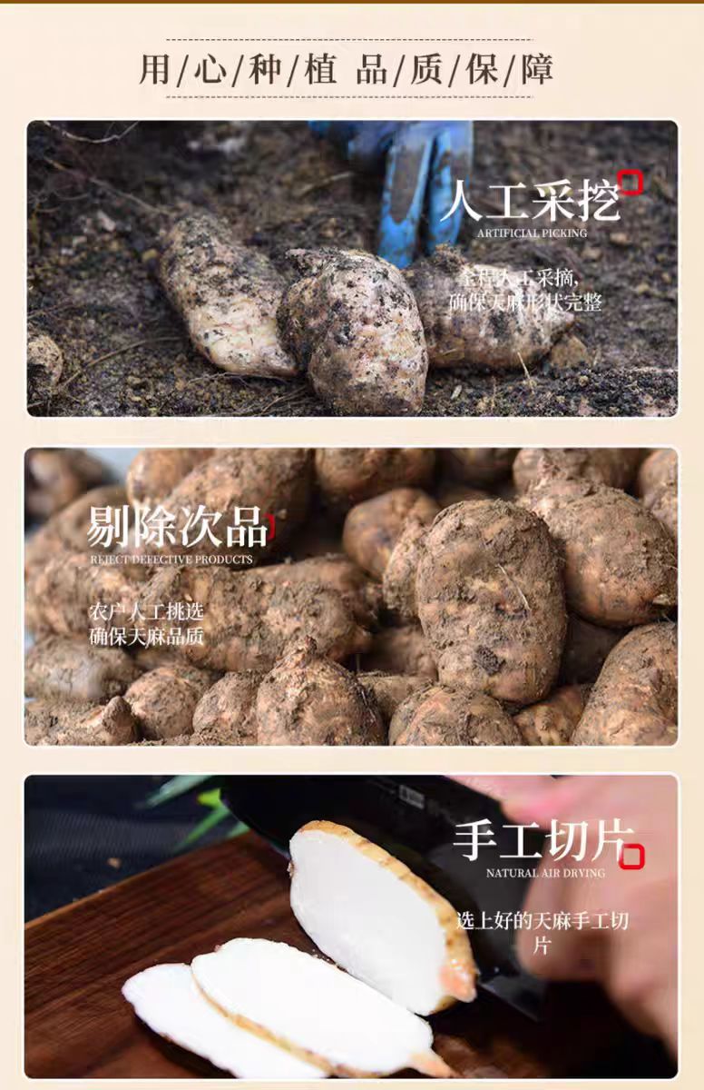 Yunnan Zhaotong Tian Ma Slices (Gastrodia elata) — Wild-Grade 500g Sulfur-Free Dried Rhizome key features
