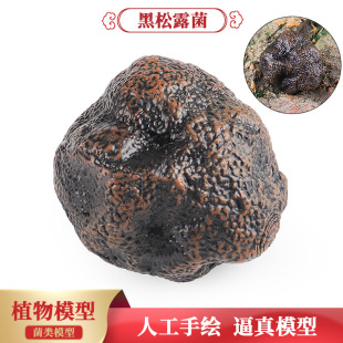 �羳����Ұ�������¶ģ�͉K���o�����ͯ����J֪�͏d�[�����