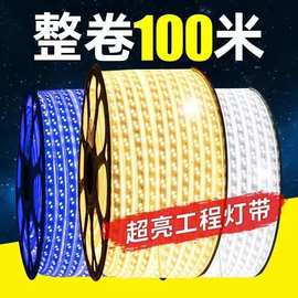 超高亮led灯带户外防水220v工程外墙室外客厅吊顶暖光暖白光灯条